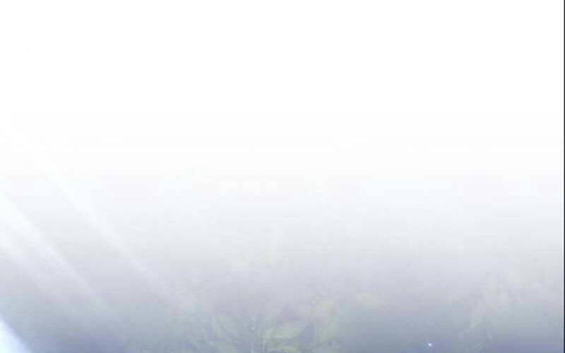 Gậy Gỗ Cấp 99+ Chap 61 - Next Chap 62