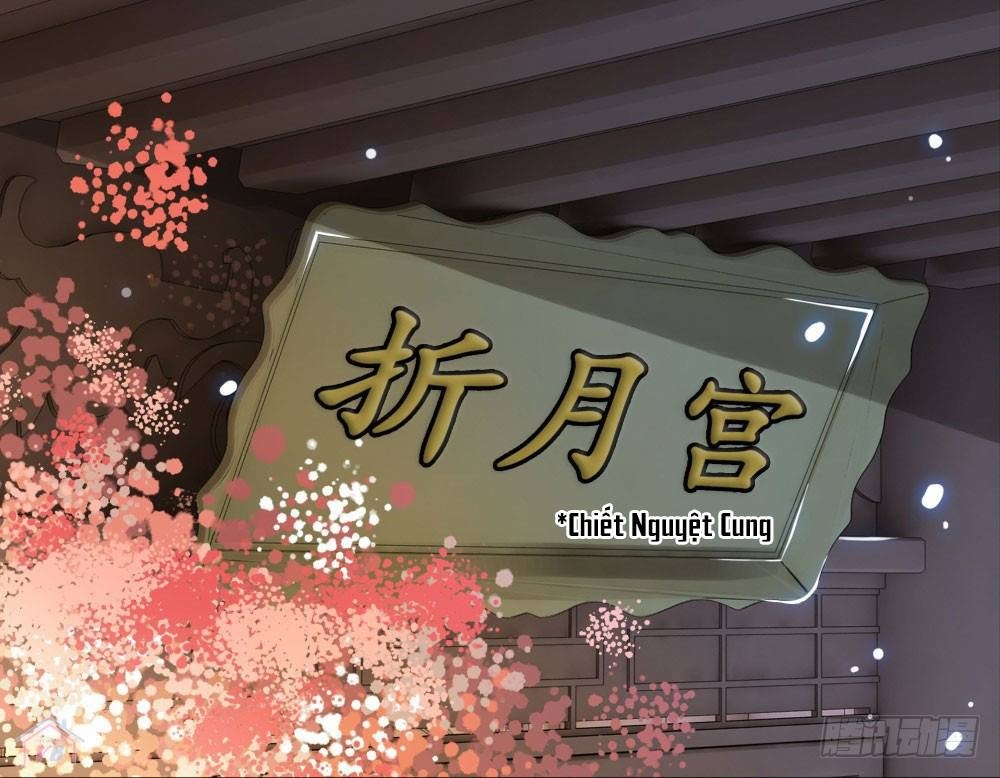 Gay Rồi! Cái Đó Thành Tinh Rồi Chap 23 - Next Chap 24
