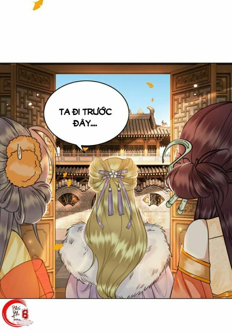 Gay Rồi! Cái Đó Thành Tinh Rồi Chap 51 - Next Chap 52