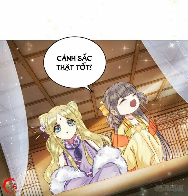Gay Rồi! Cái Đó Thành Tinh Rồi Chap 51 - Next Chap 52