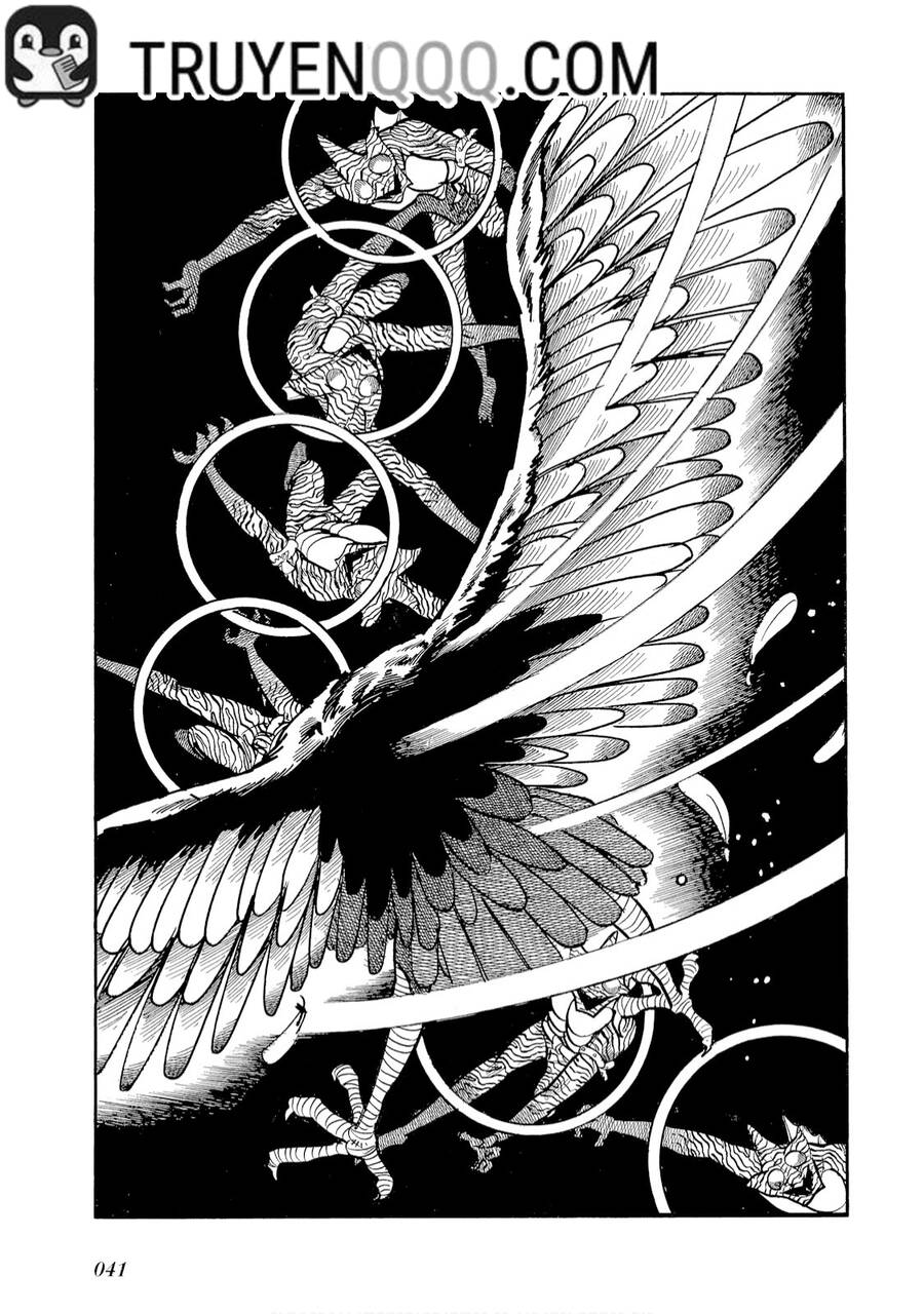 Giả Diện Kỵ Sĩ Amazon Chap 2 - Next Chap 3