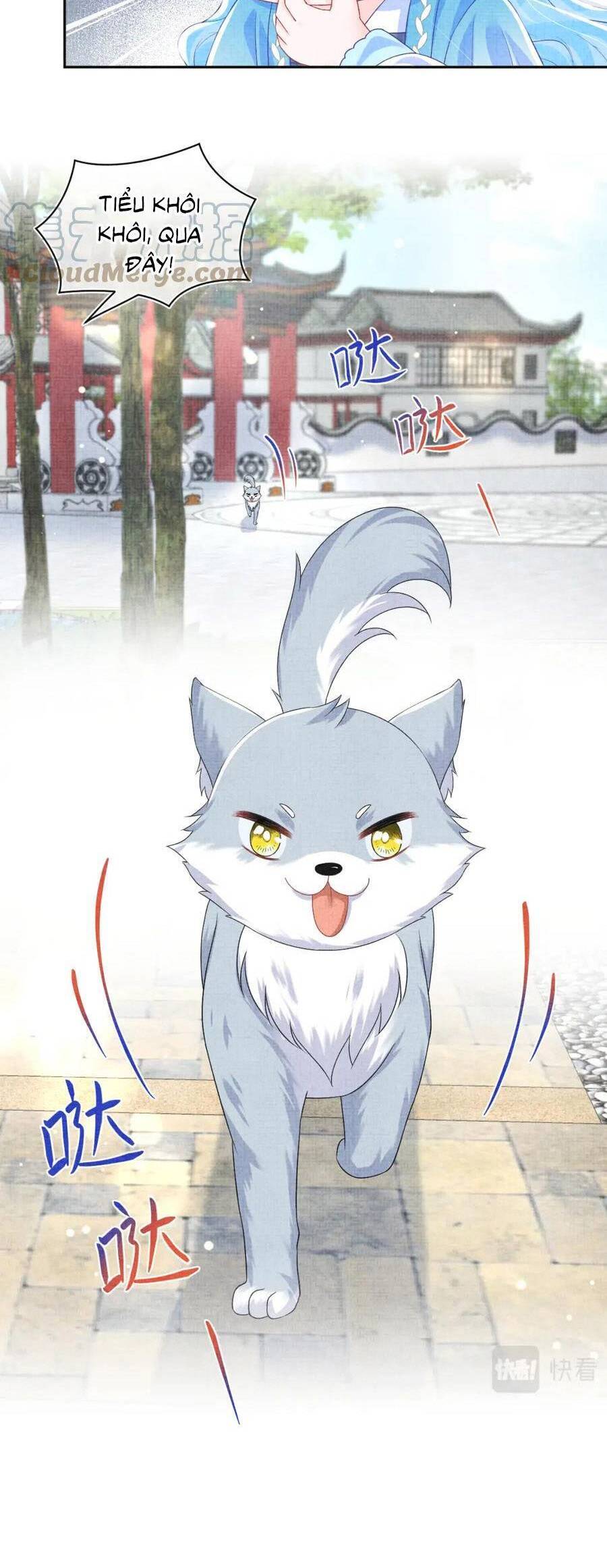 Giao Nhân Tể Tể Ba Tuổi Rồi! Chap 156 - Next Chap 157
