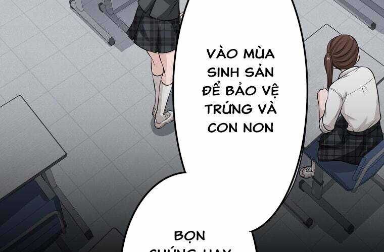Giáo Viên Ác Quỷ Saiko Chap 30 - Next Chap 31