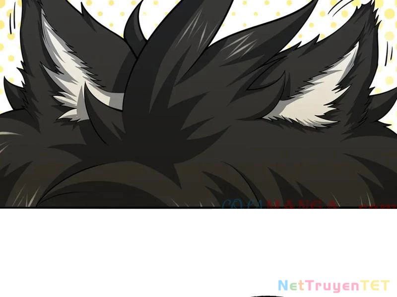Giết Ta Thêm Vài Lần Nữa, Ta Liền Trở Thành Vô Địch! Chap 49 - Next Chap 50