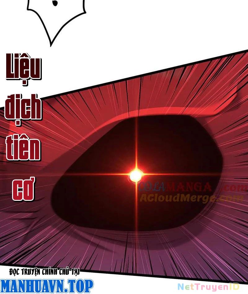 Giết Ta Thêm Vài Lần Nữa, Ta Liền Trở Thành Vô Địch! Chap 56 - Next Chap 57