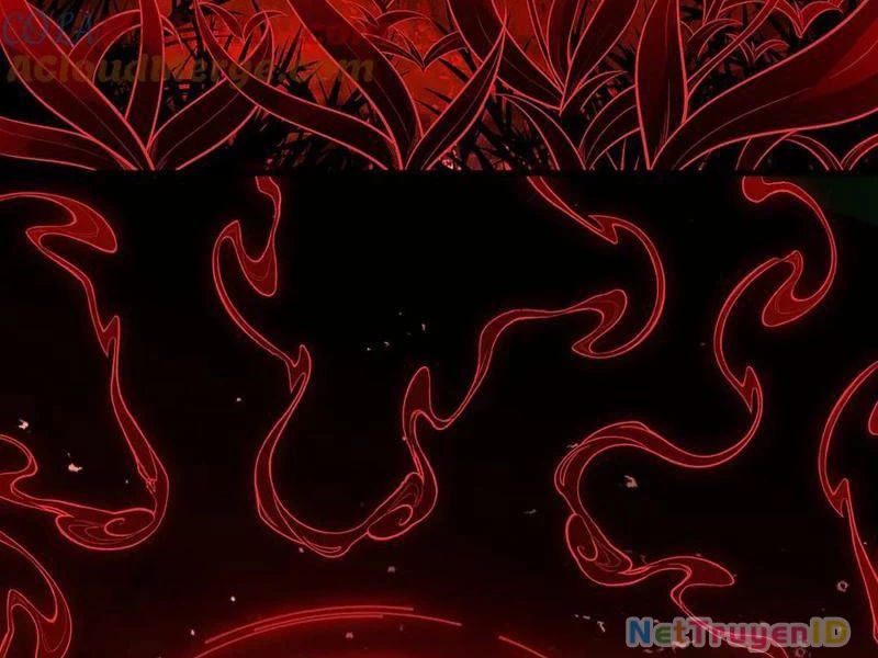 Giết Ta Thêm Vài Lần Nữa, Ta Liền Trở Thành Vô Địch! Chap 57 - Next Chap 58