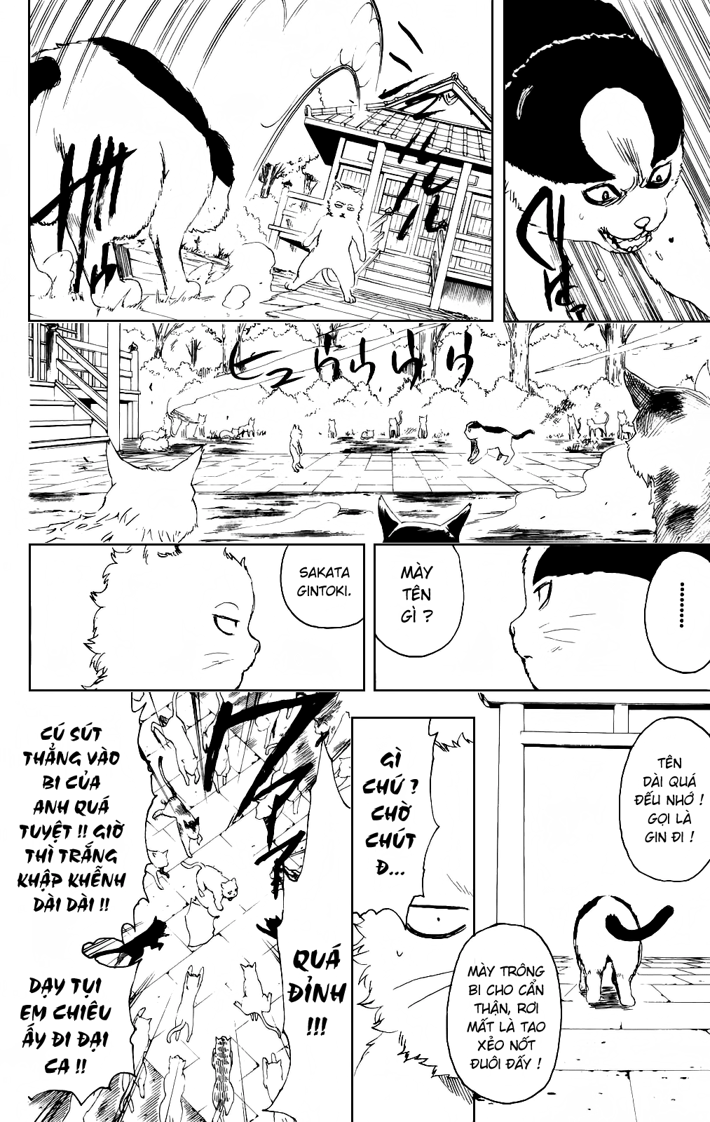 Gintama Chap 275 - Next Chap 276