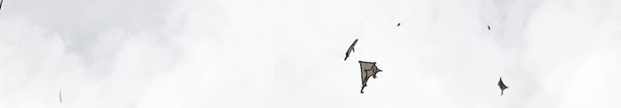 Gosu Chap 206 - Next Chap 207