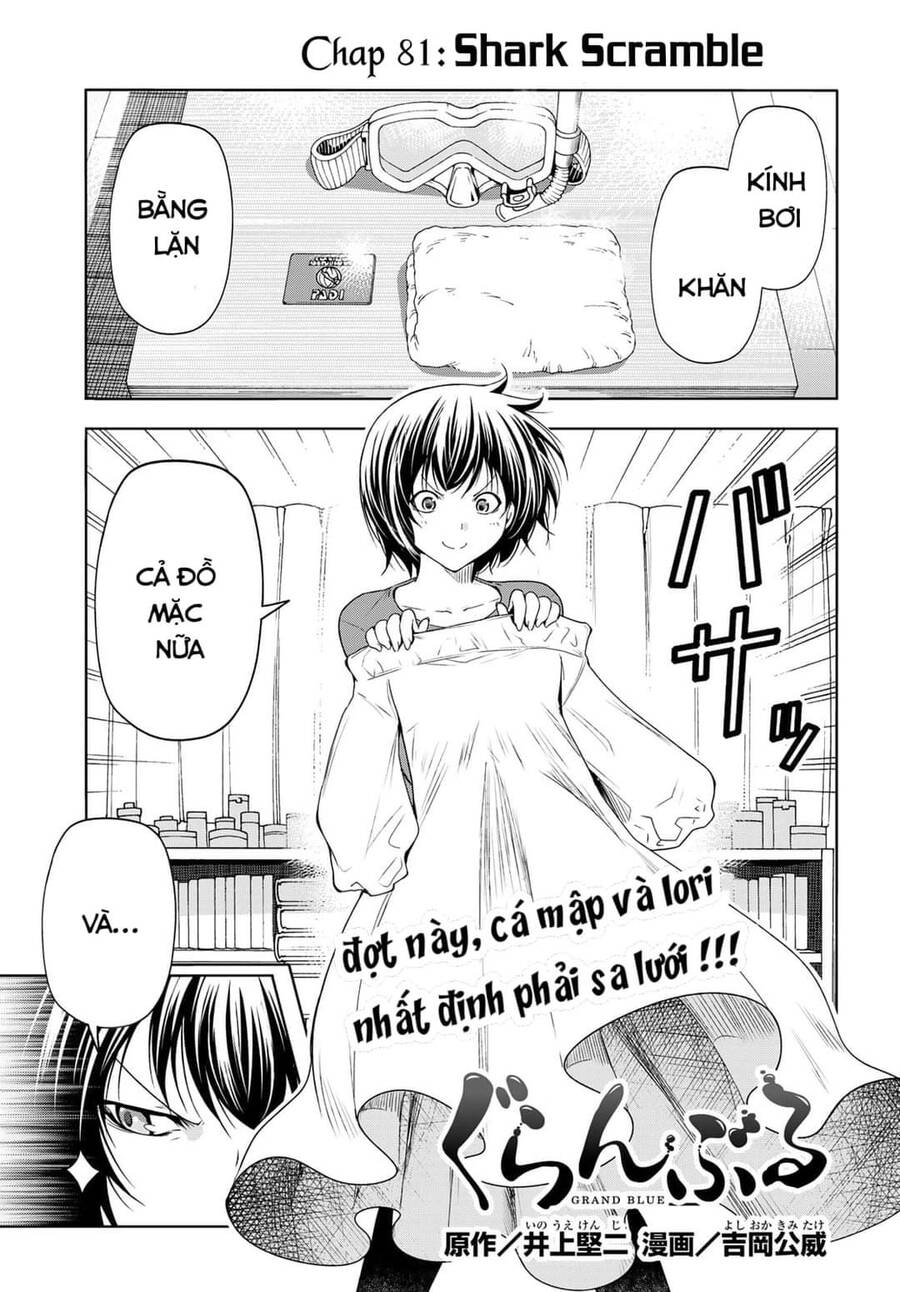 Grand Blue - Cô Gái Thích Lặn Chap 81 - Next Chap 82