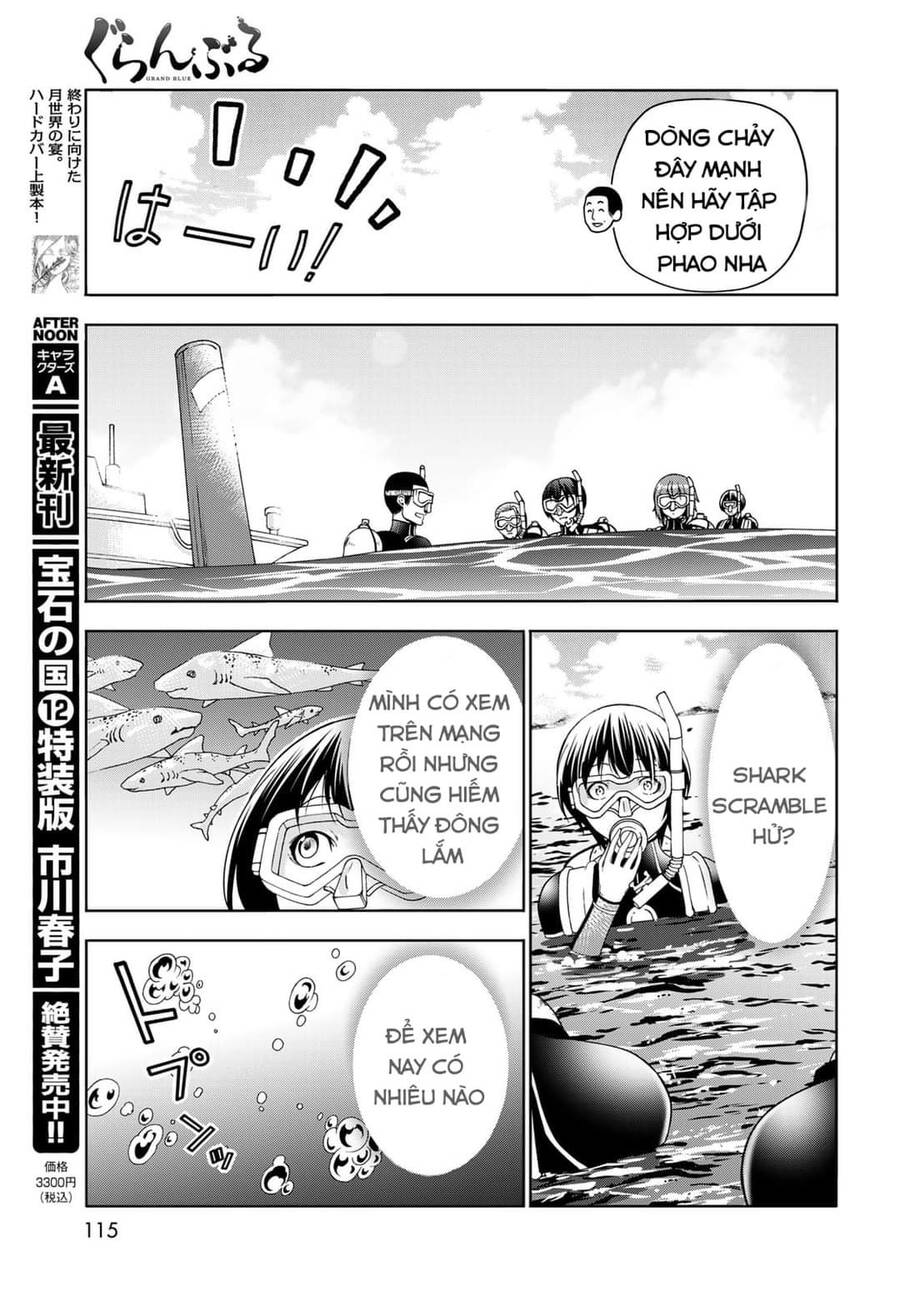 Grand Blue - Cô Gái Thích Lặn Chap 81 - Next Chap 82