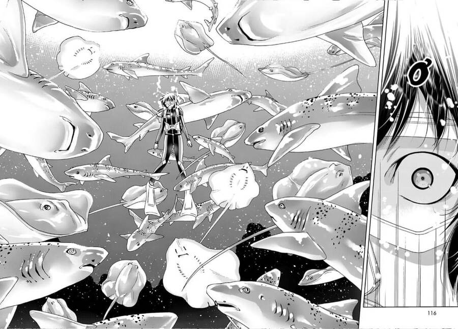 Grand Blue - Cô Gái Thích Lặn Chap 81 - Next Chap 82