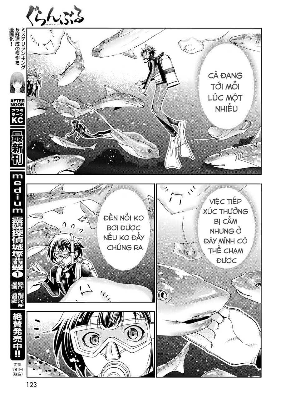 Grand Blue - Cô Gái Thích Lặn Chap 81 - Next Chap 82