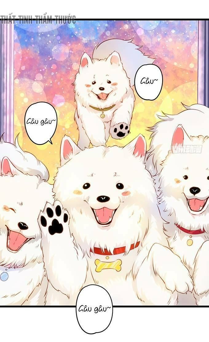 Hắc Đạo Đáng Yêu Chap 17 - Next Chap 18