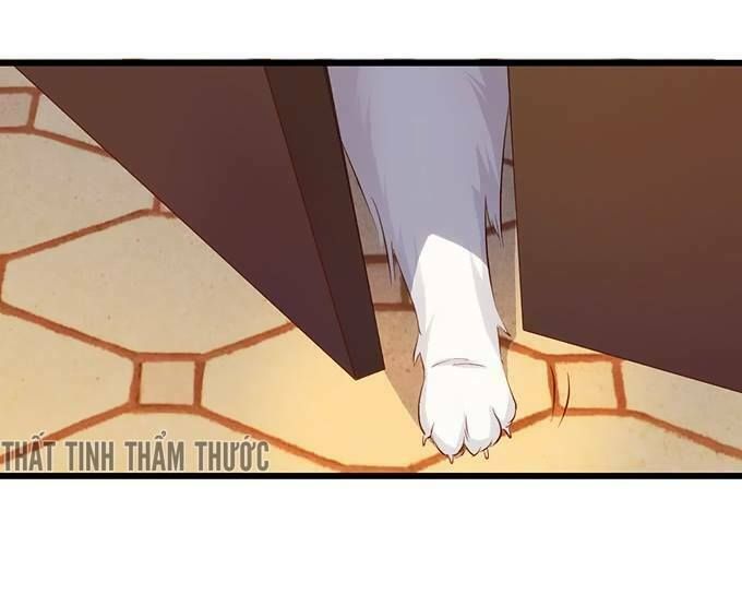 Hắc Đạo Đáng Yêu Chap 18 - Next Chap 19