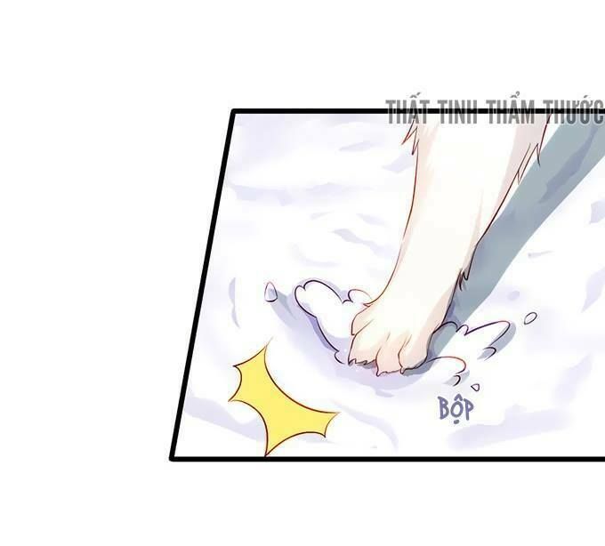 Hắc Đạo Đáng Yêu Chap 18 - Next Chap 19