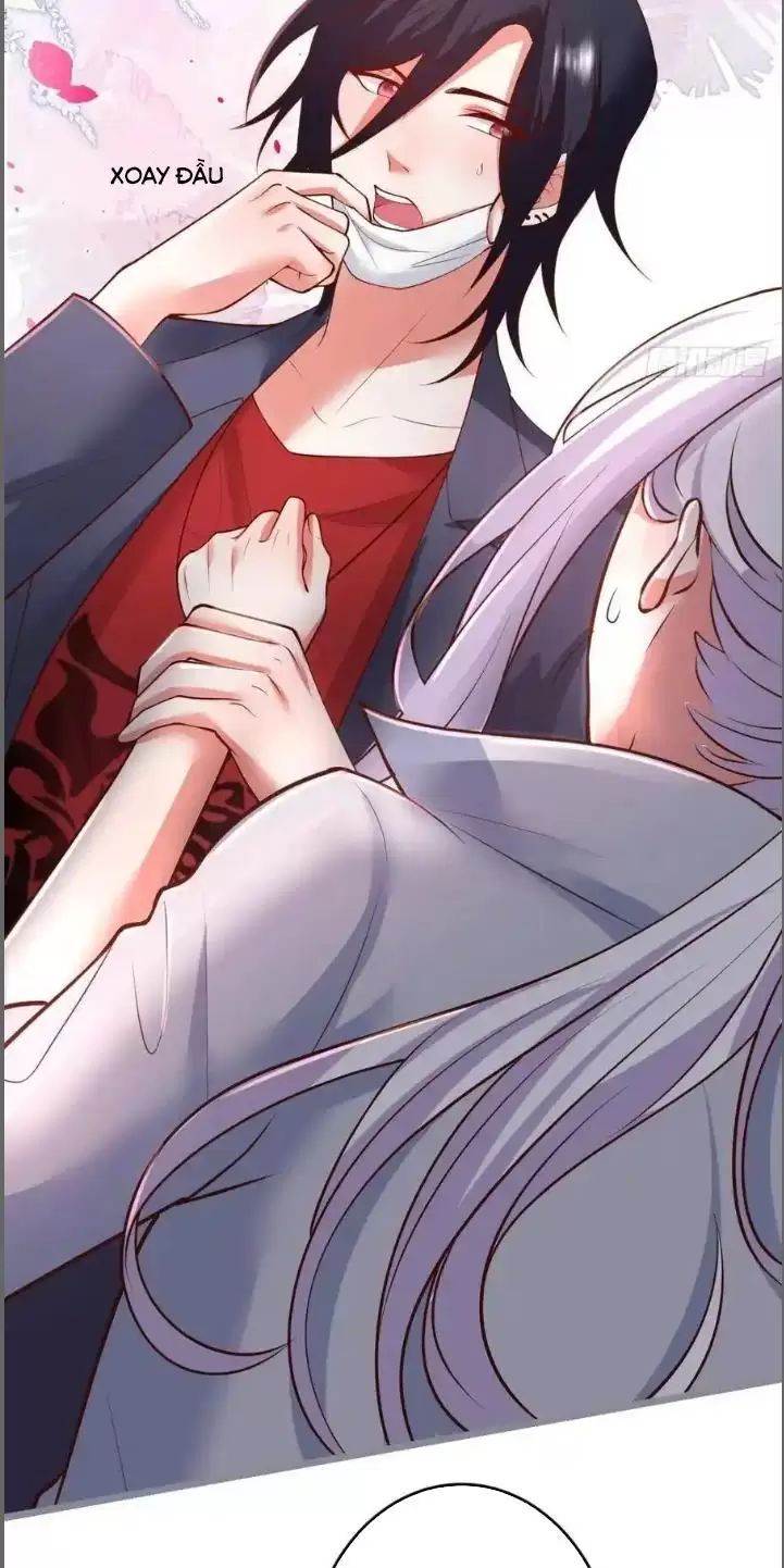 Hắc Đạo Đáng Yêu Chap 242 - Next Chap 243