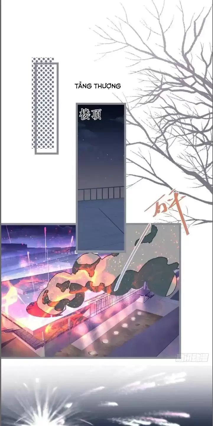Hắc Đạo Đáng Yêu Chap 242 - Next Chap 243