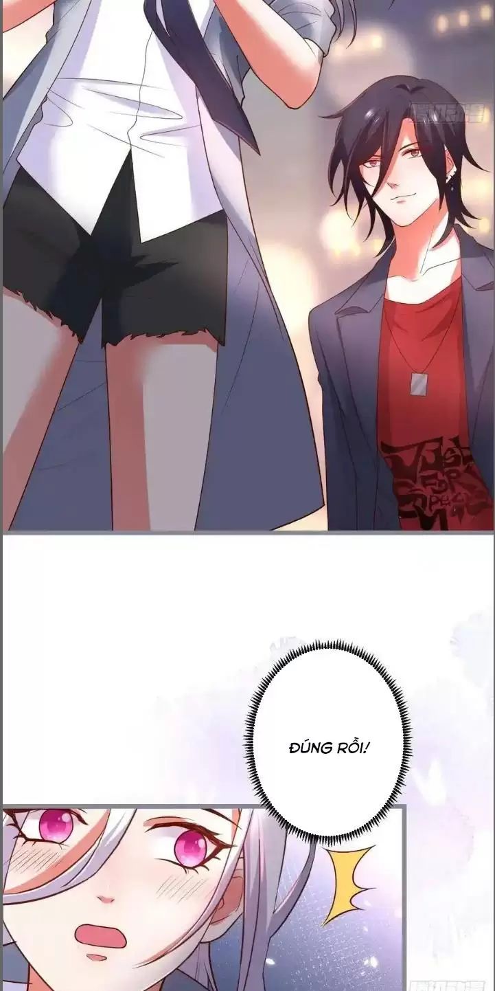 Hắc Đạo Đáng Yêu Chap 242 - Next Chap 243
