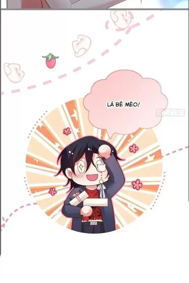 Hắc Đạo Đáng Yêu Chap 242 - Next Chap 243