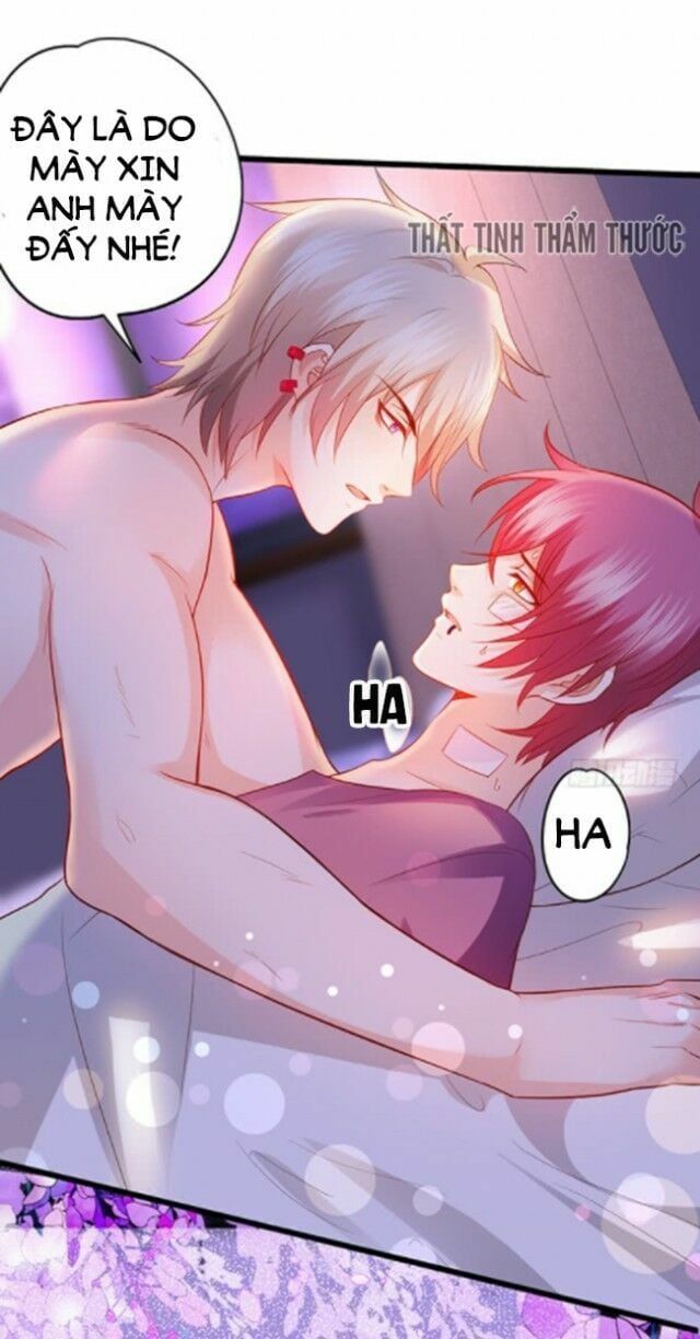 Hắc Đạo Đáng Yêu Chap 37 - Next Chap 38