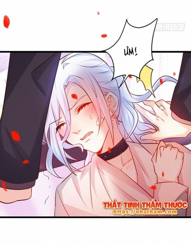 Hắc Đạo Đáng Yêu Chap 38 - Next Chap 39