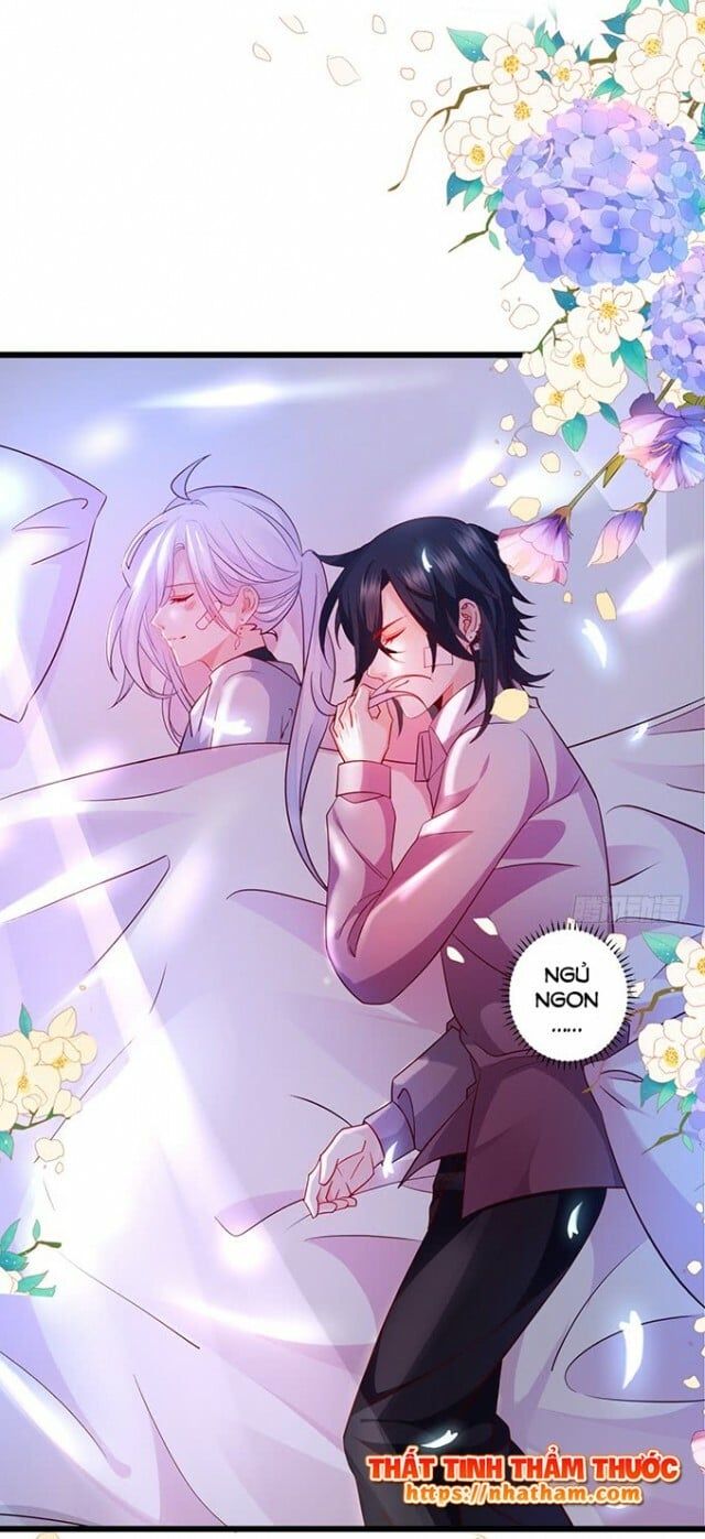 Hắc Đạo Đáng Yêu Chap 38 - Next Chap 39