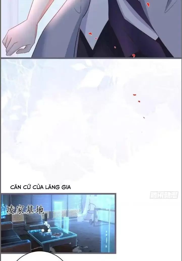 Hắc Đạo Này Có Chút Manh Chap 231 - Next Chap 232