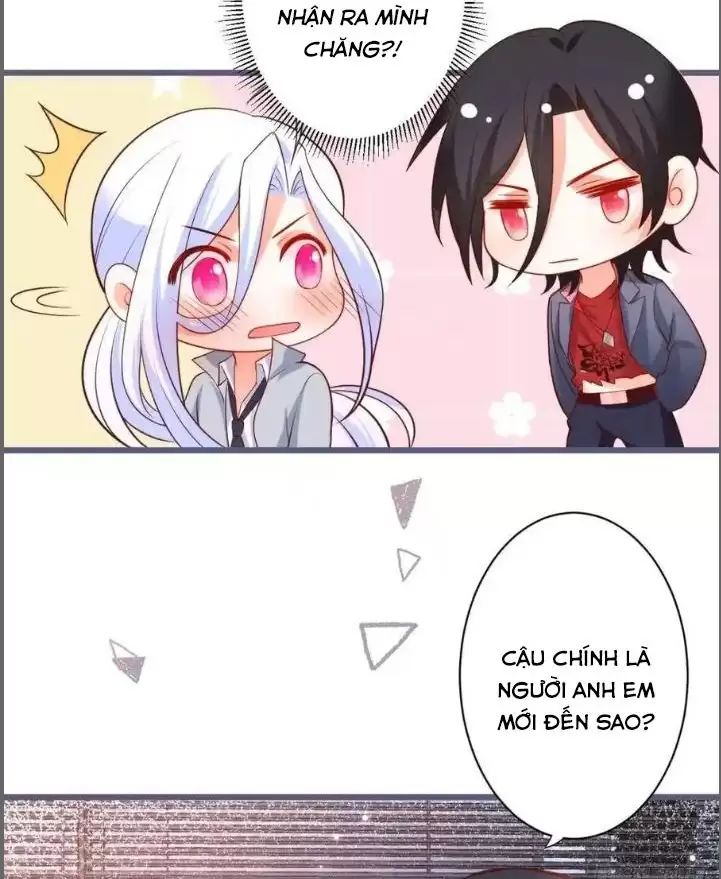 Hắc Đạo Này Có Chút Manh Chap 231 - Next Chap 232