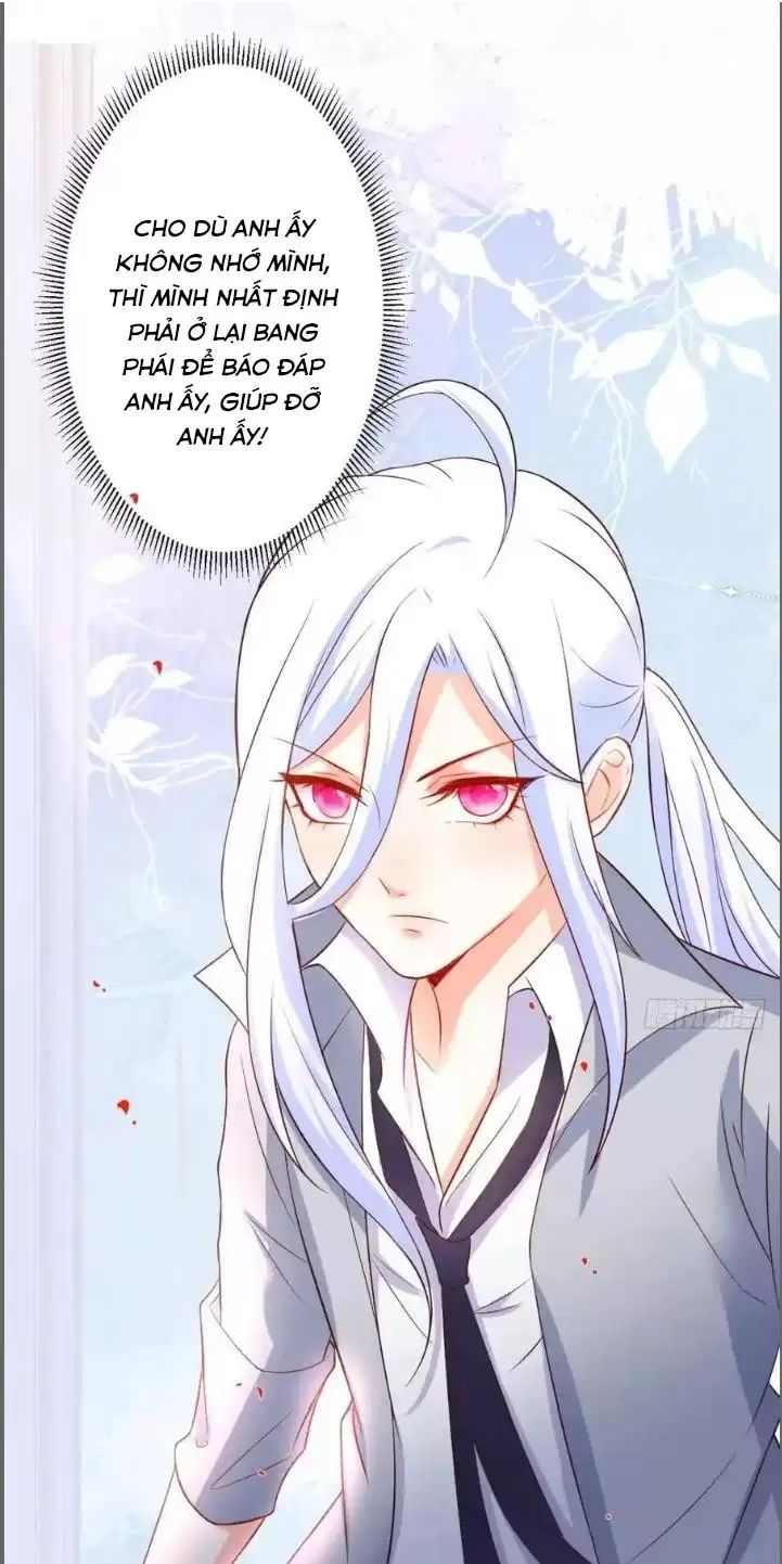 Hắc Đạo Này Có Chút Manh Chap 231 - Next Chap 232
