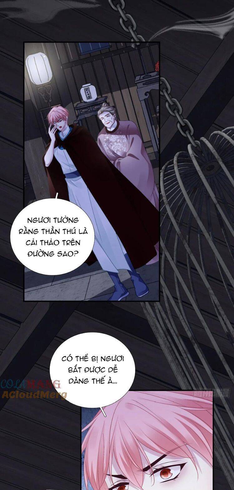 Hắc Hóa Đại Lão Thuần Dưỡng Chỉ Nam Chap 143 - Next Chap 144