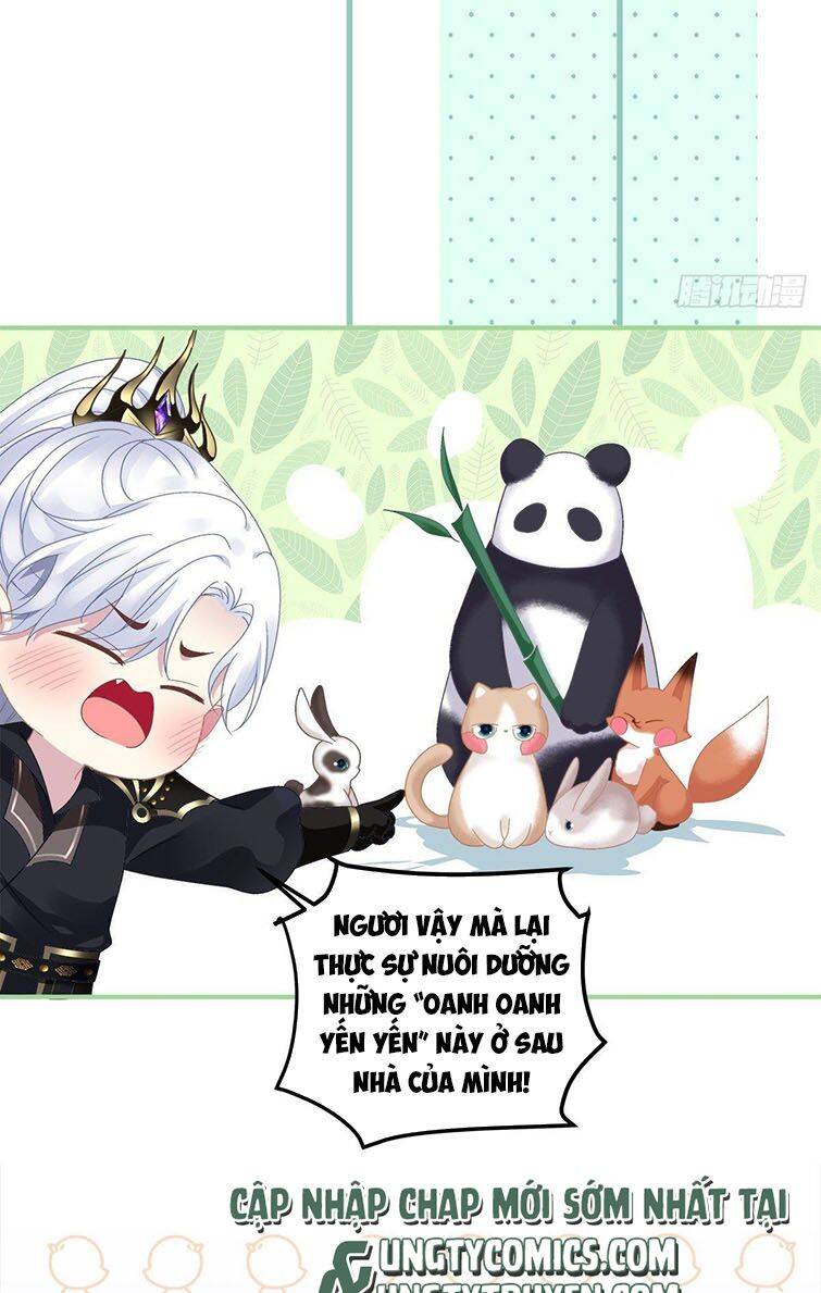 Hắc Hóa Đại Lão Thuần Dưỡng Chỉ Nam Chap 21 - Next Chap 22