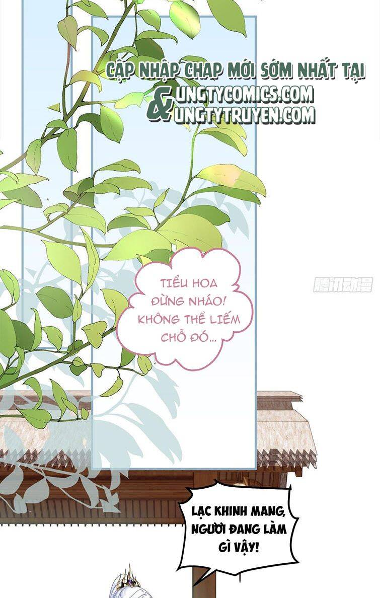 Hắc Hóa Đại Lão Thuần Dưỡng Chỉ Nam Chap 21 - Next Chap 22