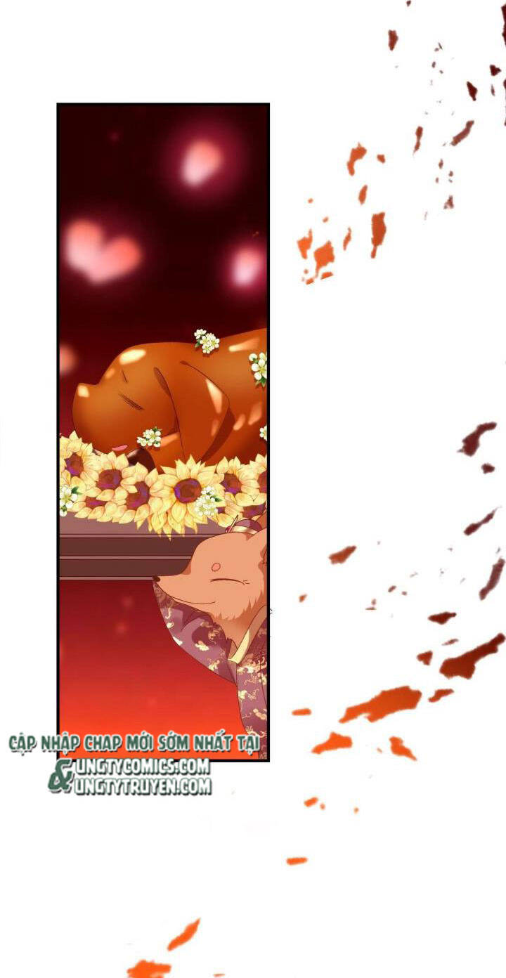 Hắc Hóa Đại Lão Thuần Dưỡng Chỉ Nam Chap 25 - Next Chap 26