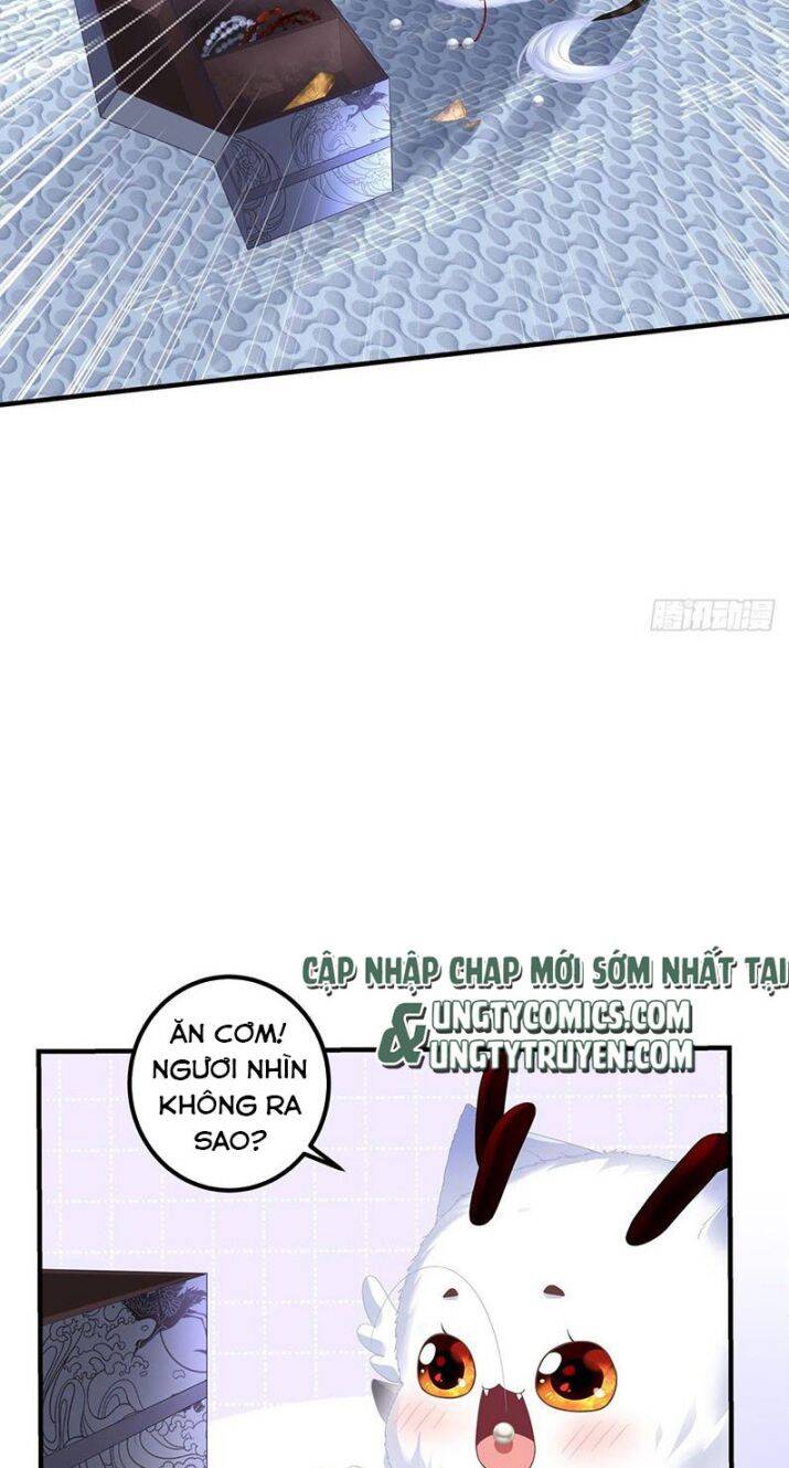 Hắc Hóa Đại Lão Thuần Dưỡng Chỉ Nam Chap 4 - Next Chap 5