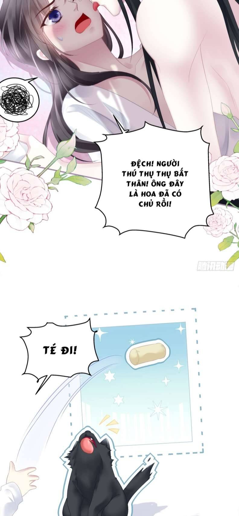 Hắc Hóa Đại Lão Thuần Dưỡng Chỉ Nam Chap 66 - Next Chap 67