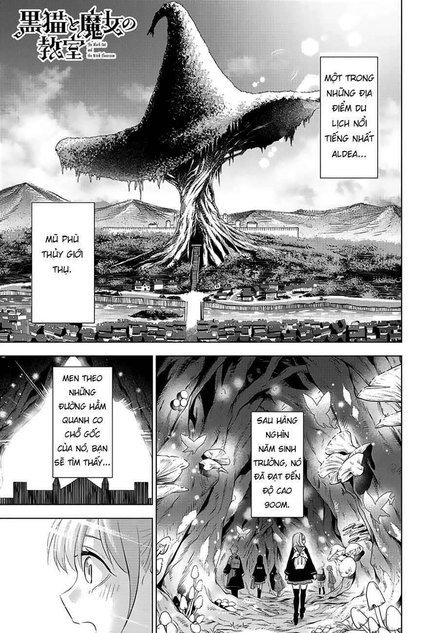 Hắc Miêu Và Lớp Học Phù Thủy Chap 4 - Next Chap 5