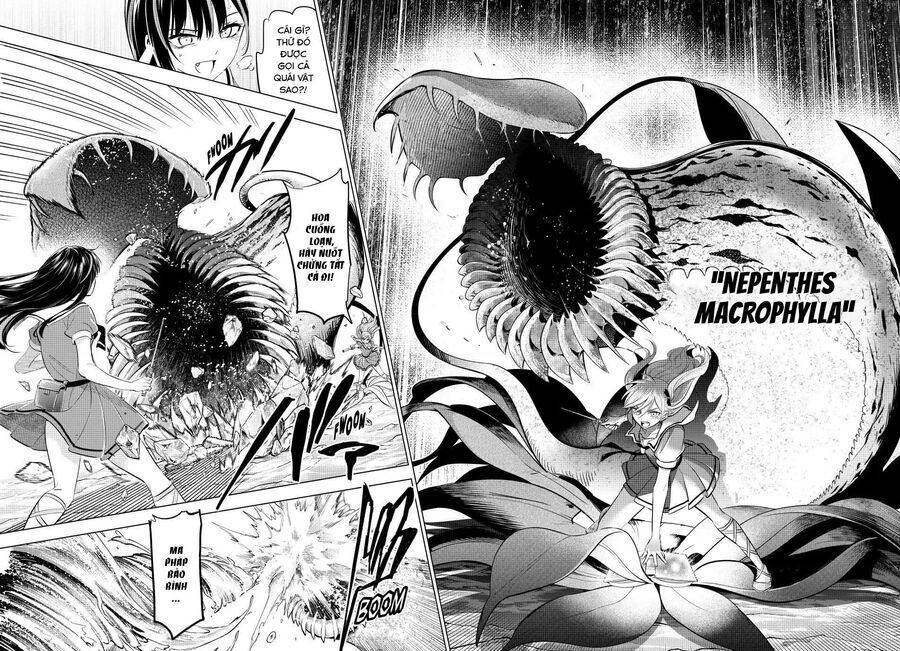 Hắc Miêu Và Lớp Học Phù Thủy Chap 55 - Next Chap 56
