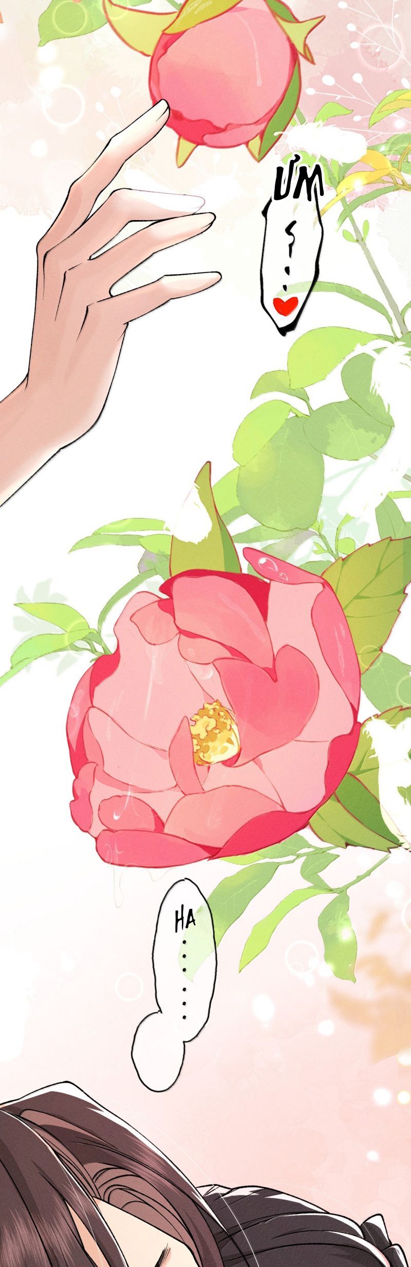 Hải Vương Sau Khi Hoàn Lương Sa Vào Tu La Tràng Chap 44 - Next Chap 45