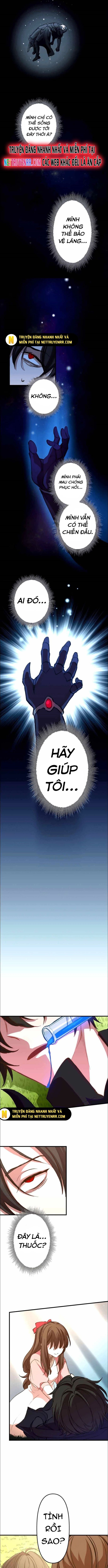 Hấp Thụ Cấp Độ Chap 13 - Next Chap 14