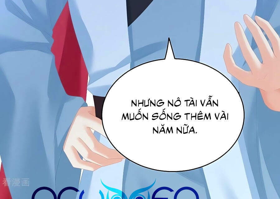 Hậu Cung Của Nữ Đế Chap 263 - Next Chap 264