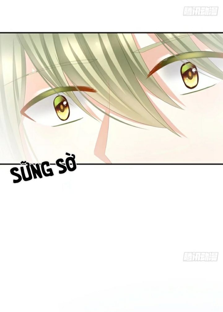 Hậu Cung Của Nữ Đế Chap 39 - Next Chap 40