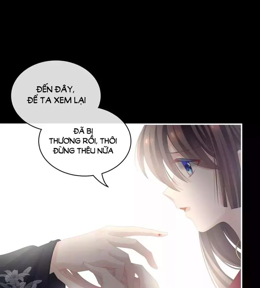 Hậu Cung Của Nữ Đế Chap 87 - Next Chap 88