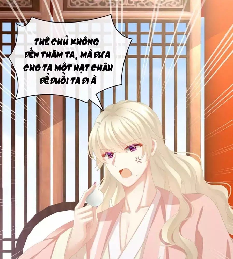 Hậu Cung Của Nữ Đế Chap 87 - Next Chap 88