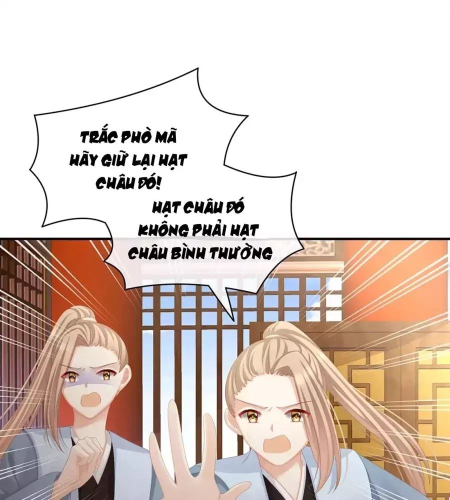 Hậu Cung Của Nữ Đế Chap 87 - Next Chap 88