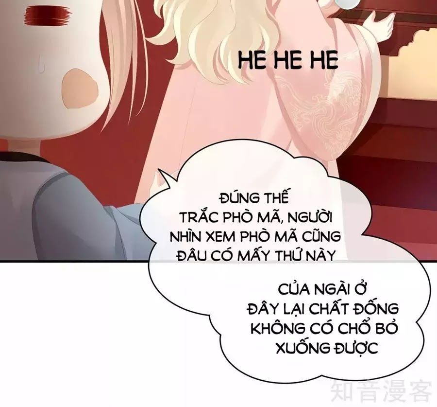 Hậu Cung Của Nữ Đế Chap 87 - Next Chap 88