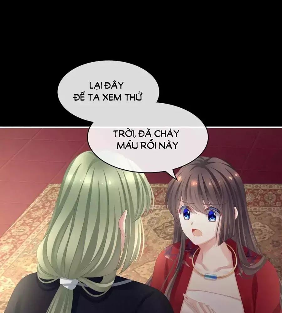 Hậu Cung Của Nữ Đế Chap 87 - Next Chap 88