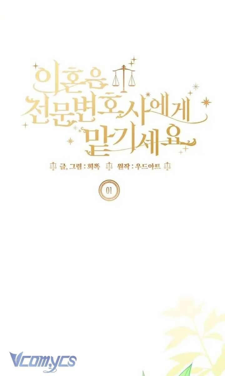 Hãy Để Luật Sư Chuyên Nghiệp Lo Chuyện Ly Hôn Chap 1 - Next Chap 2
