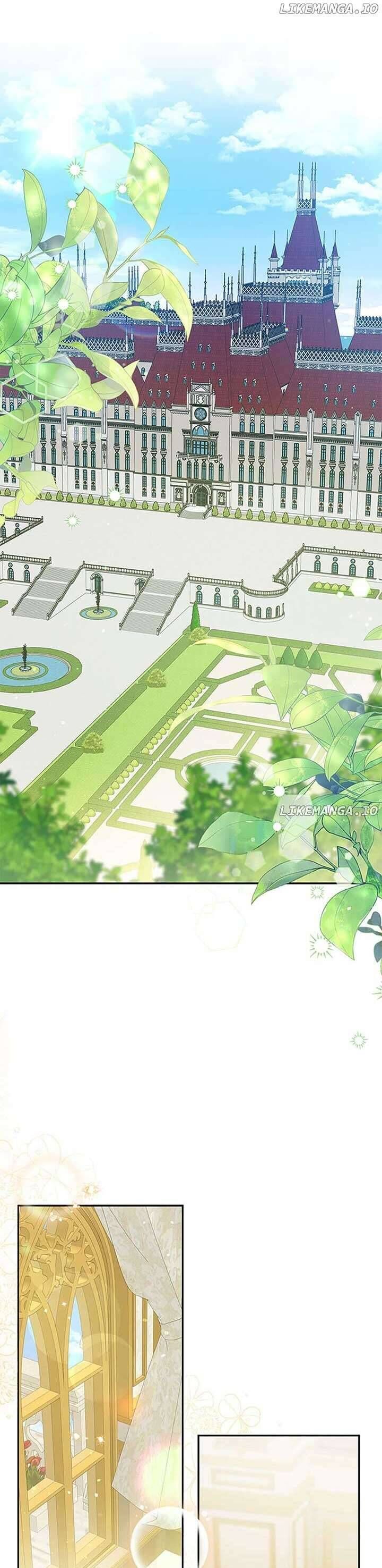 Hãy Ủng Hộ Kế Hoạch Trả Thù Của Tôi Chap 92 - Next Chap 93