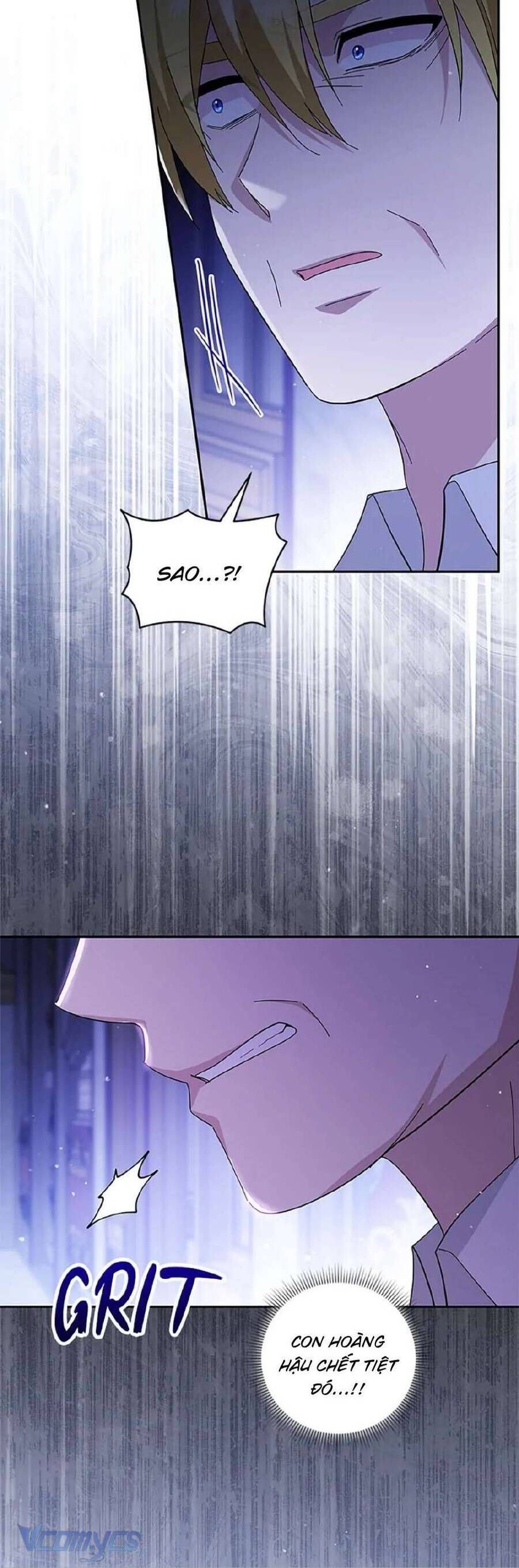 Hãy Ủng Hộ Kế Hoạch Trả Thù Của Tôi Chap 96 - Next Chap 97