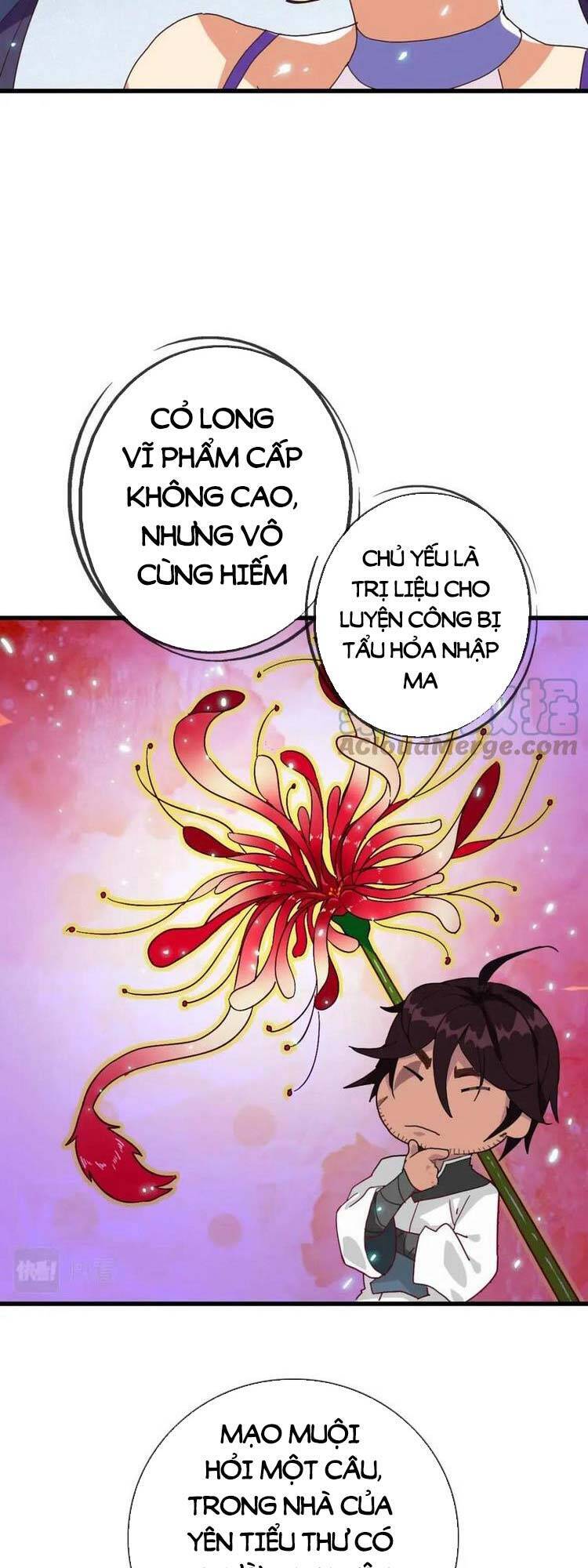 Hệ Thống Thăng Cấp Điên Cuồng Chap 24 - Next Chap 25